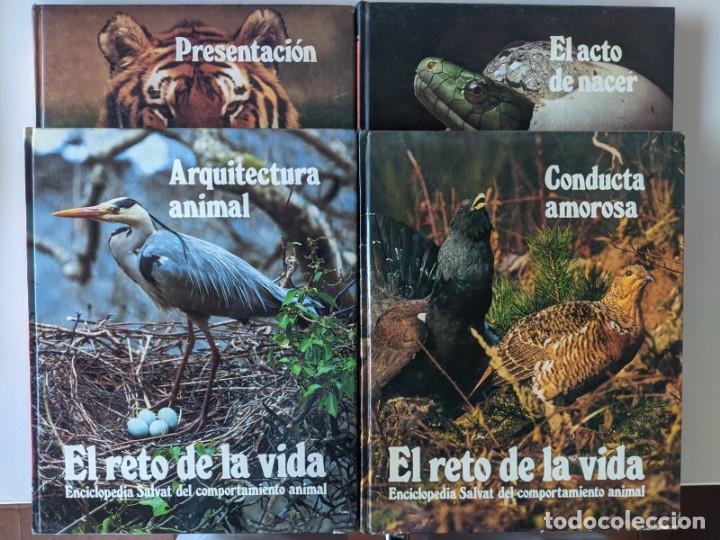 Libros de segunda mano: SALDO - LOTE 4 TOMOS SALVAT - EL RETO DE LA VIDA - Foto 1