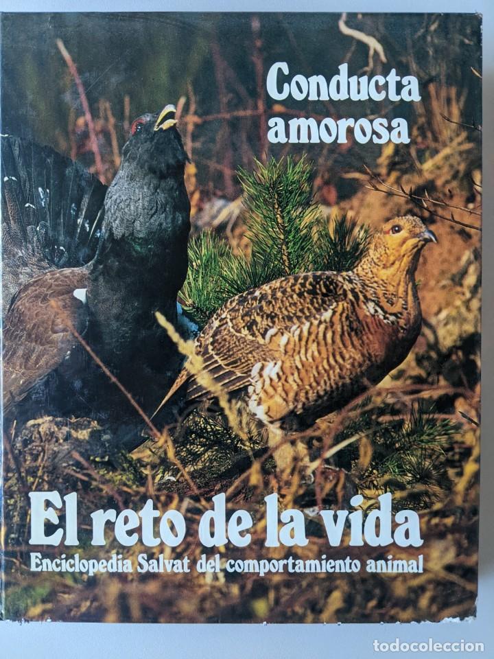 Libros de segunda mano: SALDO - LOTE 4 TOMOS SALVAT - EL RETO DE LA VIDA - Foto 2