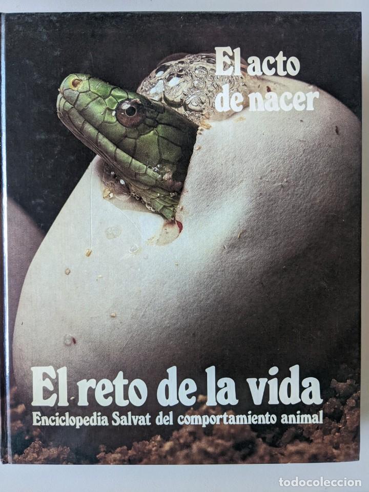 Libros de segunda mano: SALDO - LOTE 4 TOMOS SALVAT - EL RETO DE LA VIDA - Foto 3