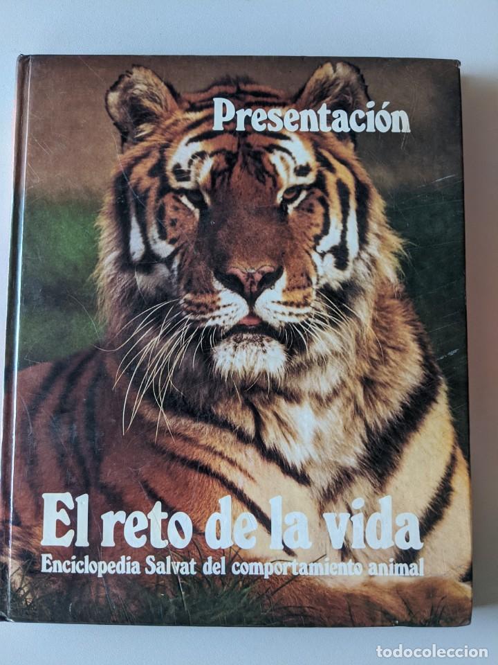 Libros de segunda mano: SALDO - LOTE 4 TOMOS SALVAT - EL RETO DE LA VIDA - Foto 4