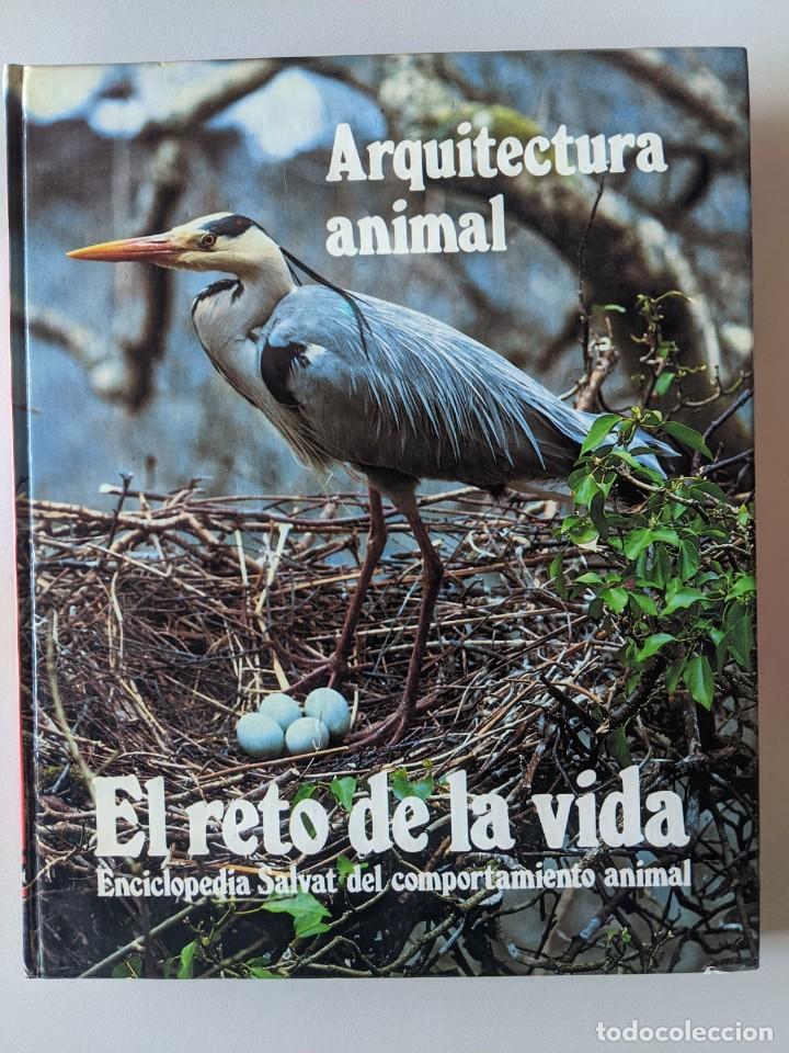 Libros de segunda mano: SALDO - LOTE 4 TOMOS SALVAT - EL RETO DE LA VIDA - Foto 5