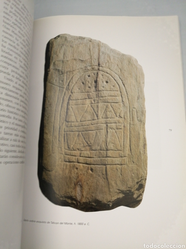 Libros de segunda mano: Plan museol&oacute;gico del Museo de Le&oacute;n - Foto 4