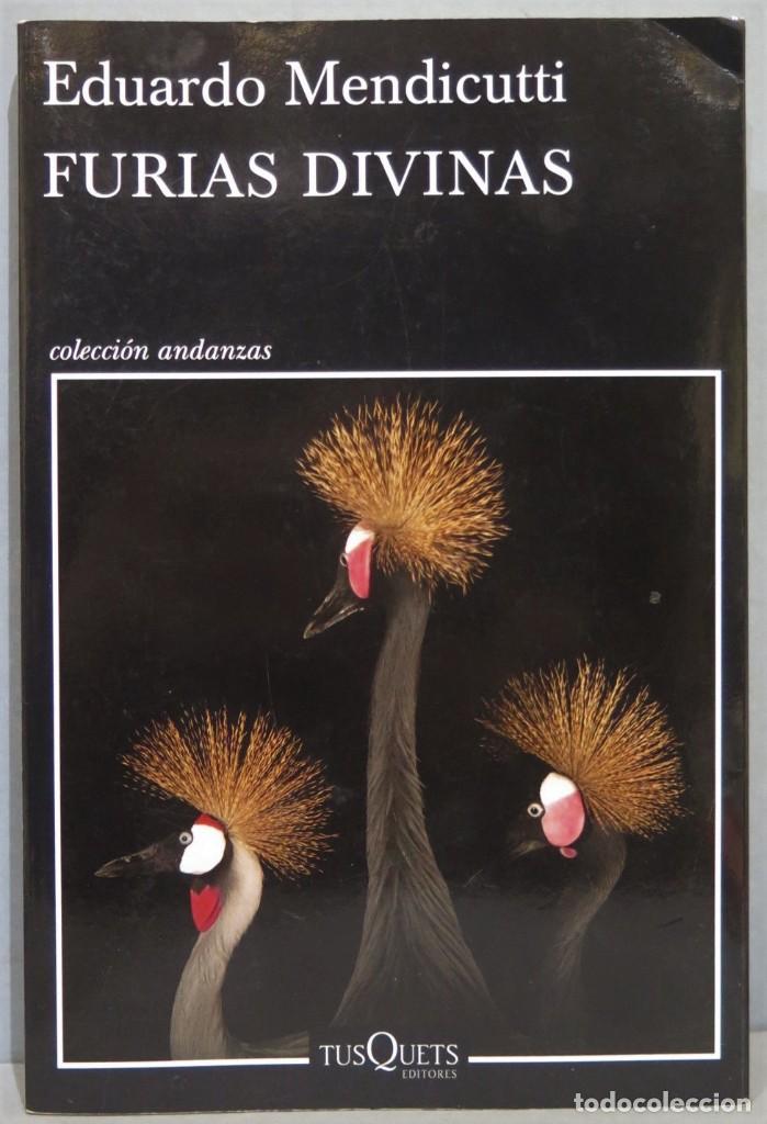Libros de segunda mano: FURIAS DIVINAS. EDUARDO MENDICUTTI - Foto 1