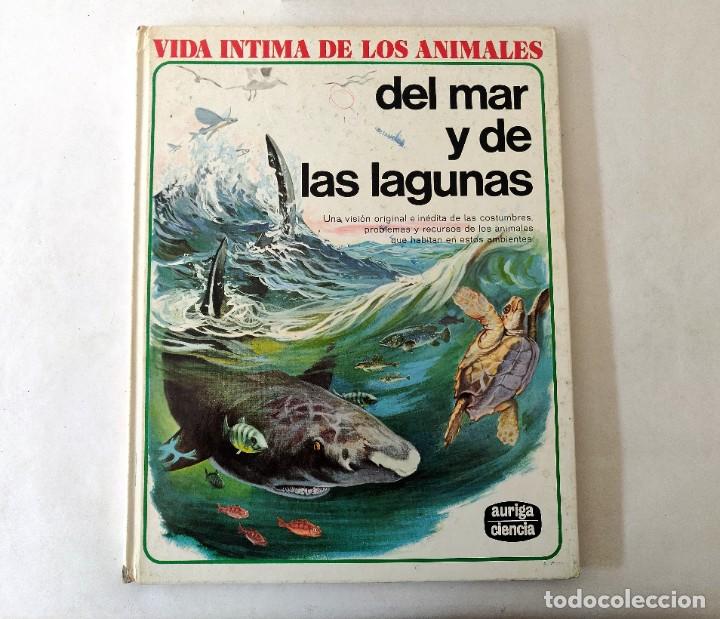 Libros de segunda mano: Libro animales del mar - Foto 1