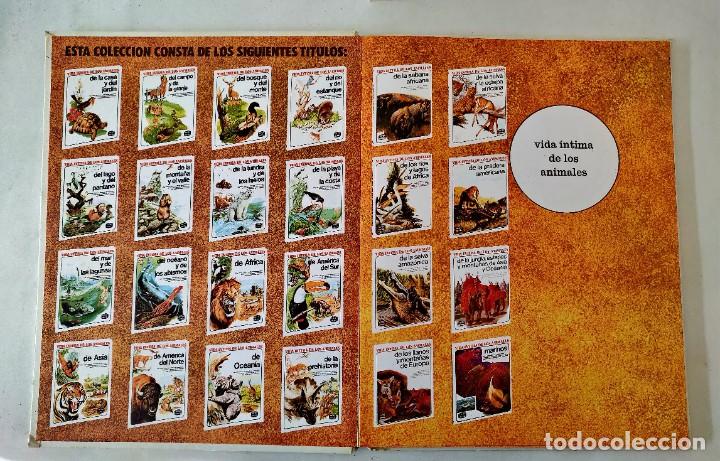 Libros de segunda mano: Libro animales del mar - Foto 2