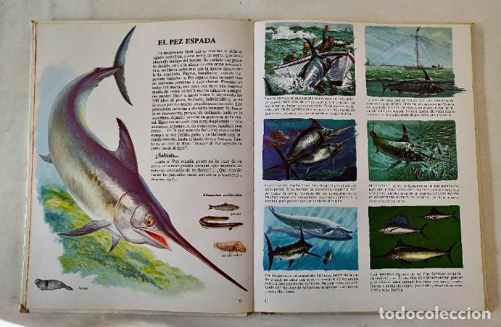 Libros de segunda mano: Libro animales del mar - Foto 3