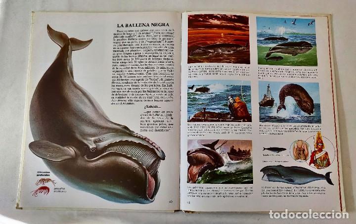 Libros de segunda mano: Libro animales del mar - Foto 4