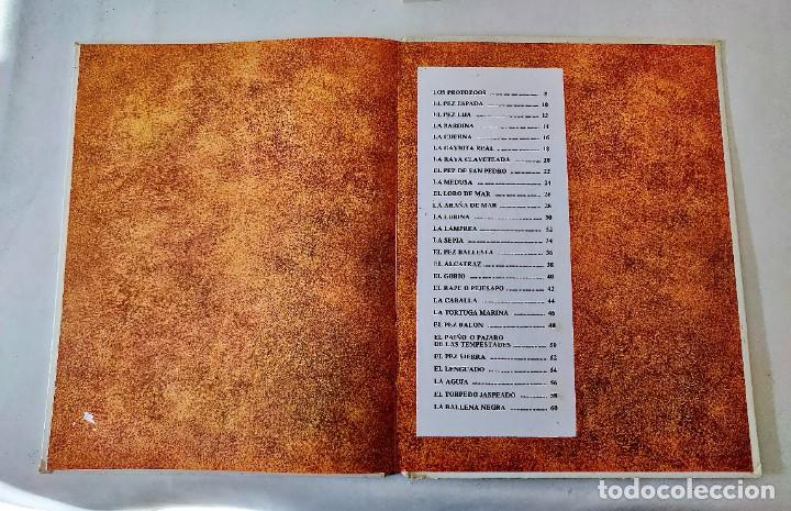 Libros de segunda mano: Libro animales del mar - Foto 5