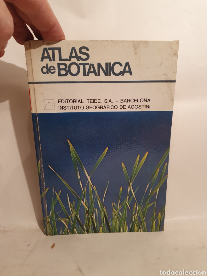 Libros de segunda mano: ATLAS DE BOTANICA. UBERTO TOSCO. 1971. - Foto 1