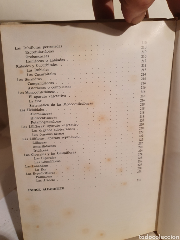 Libros de segunda mano: ATLAS DE BOTANICA. UBERTO TOSCO. 1971. - Foto 5