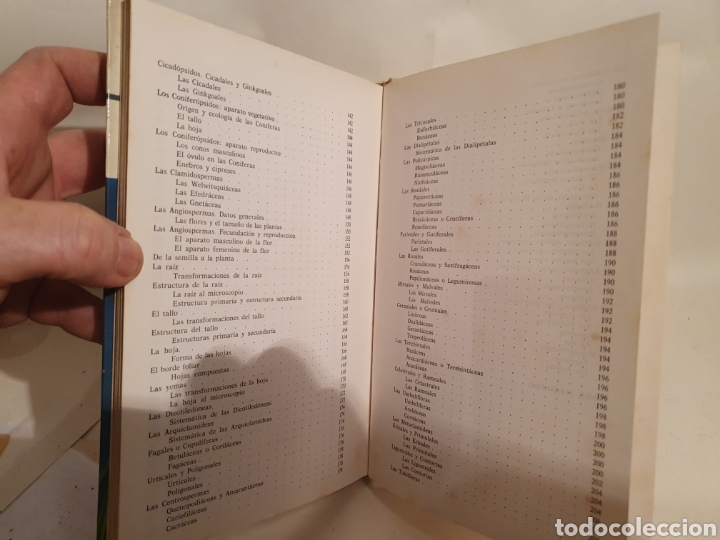Libros de segunda mano: ATLAS DE BOTANICA. UBERTO TOSCO. 1971. - Foto 6