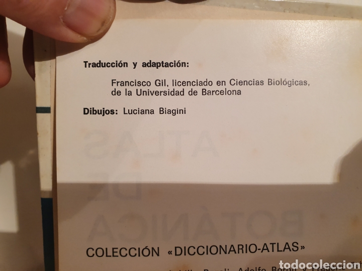 Libros de segunda mano: ATLAS DE BOTANICA. UBERTO TOSCO. 1971. - Foto 9