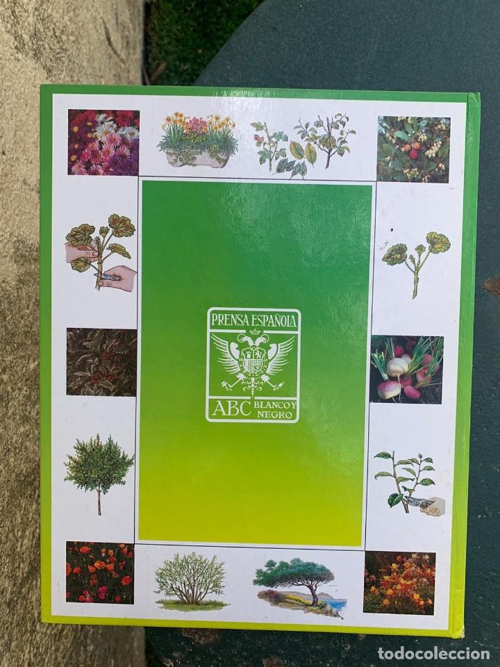 Libros de segunda mano: LIBRO DE ORO DE LAS PLANTAS Y LOS JARDINES. ABC. - Foto 4