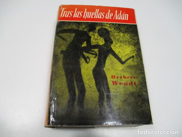 Libros de segunda mano: HERBERT WENDT Tras las huellas de Ad&aacute;n Q4392T - Foto 1