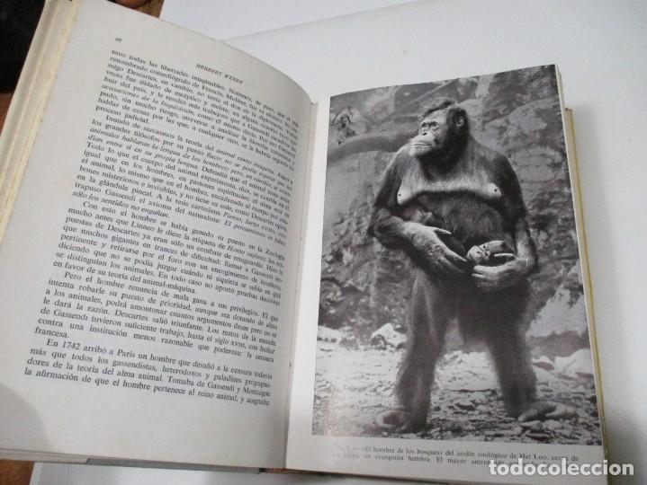 Libros de segunda mano: HERBERT WENDT Tras las huellas de Ad&aacute;n Q4392T - Foto 2