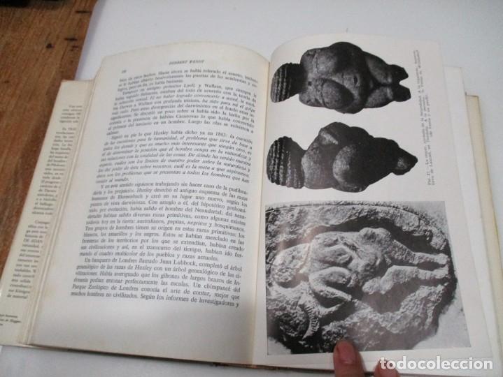 Libros de segunda mano: HERBERT WENDT Tras las huellas de Ad&aacute;n Q4392T - Foto 3
