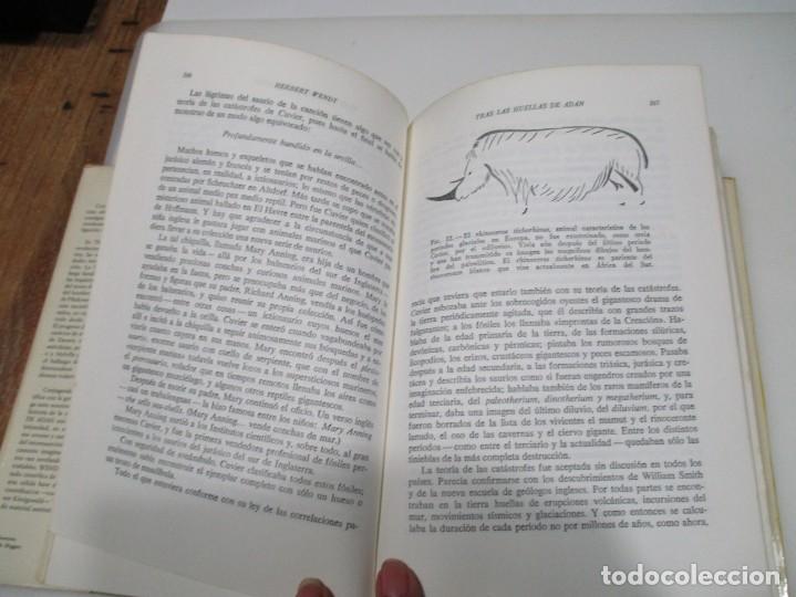 Libros de segunda mano: HERBERT WENDT Tras las huellas de Ad&aacute;n Q4392T - Foto 4