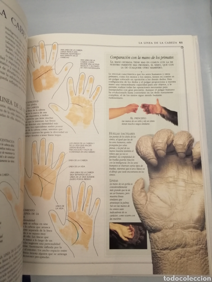 Libros de segunda mano: EL ARTE DE LEER LA MANO (Primera edici&oacute;n) - Foto 8