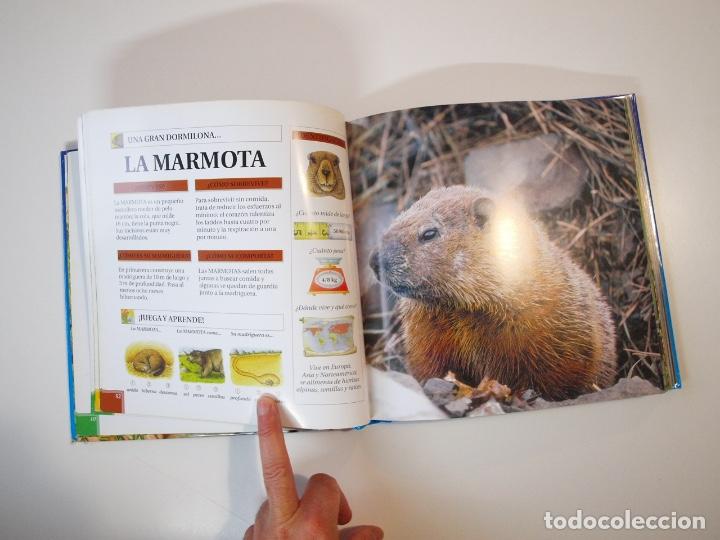 Libros de segunda mano: LOS ANIMALES Y SU MUNDO - TODOLIBRO - Foto 5