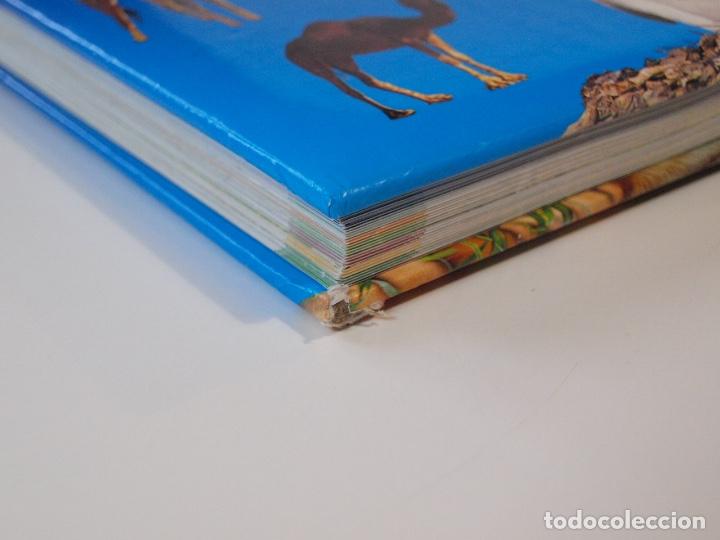Libros de segunda mano: LOS ANIMALES Y SU MUNDO - TODOLIBRO - Foto 12
