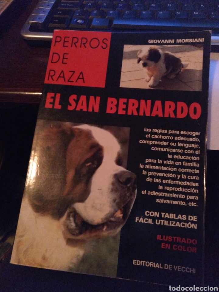 Libros de segunda mano: Perros de raza. El San Bernardo. De hecho 1997 - Foto 1
