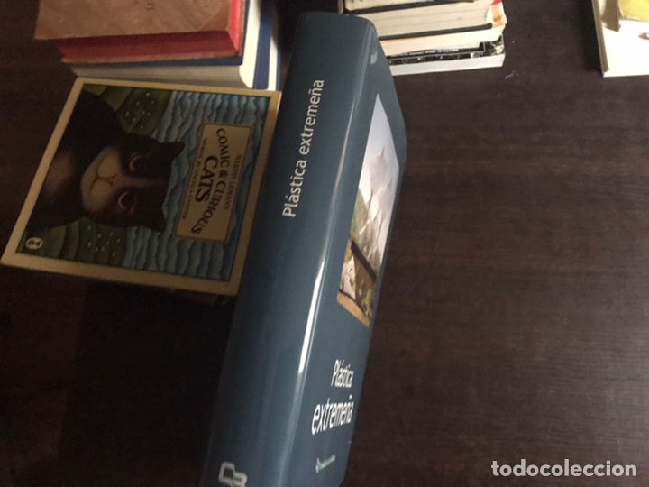 Libros de segunda mano: Pl&aacute;stica extreme&ntilde;a. Fundaci&oacute;n Caja Badajoz - Foto 2