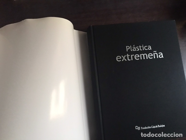 Libros de segunda mano: Pl&aacute;stica extreme&ntilde;a. Fundaci&oacute;n Caja Badajoz - Foto 3