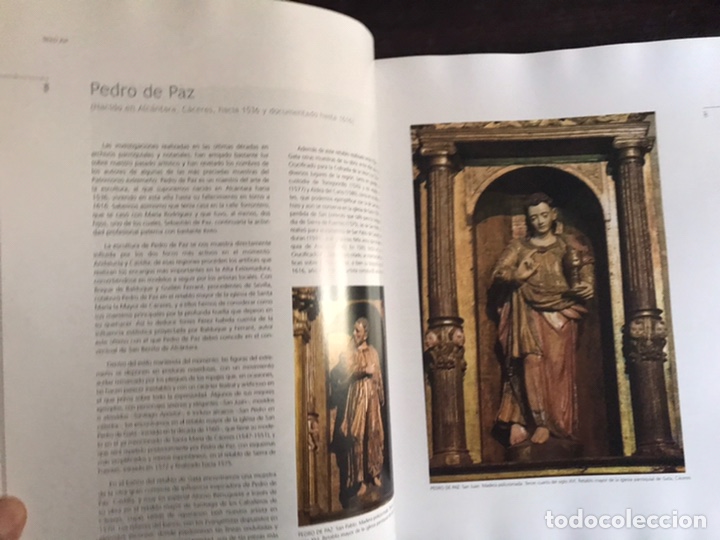 Libros de segunda mano: Pl&aacute;stica extreme&ntilde;a. Fundaci&oacute;n Caja Badajoz - Foto 6