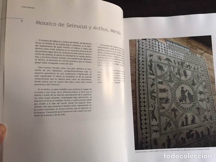 Libros de segunda mano: Pl&aacute;stica extreme&ntilde;a. Fundaci&oacute;n Caja Badajoz - Foto 9