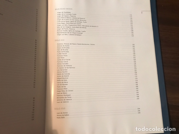 Libros de segunda mano: Pl&aacute;stica extreme&ntilde;a. Fundaci&oacute;n Caja Badajoz - Foto 11
