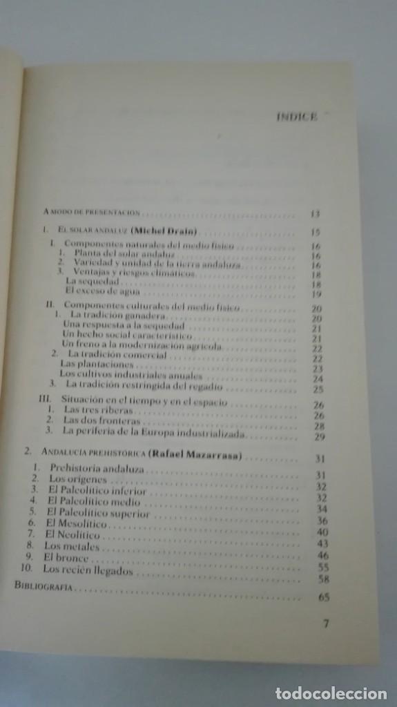 Libros de segunda mano: LOS ANDALUCES. VARIOS AUTORES - Foto 4