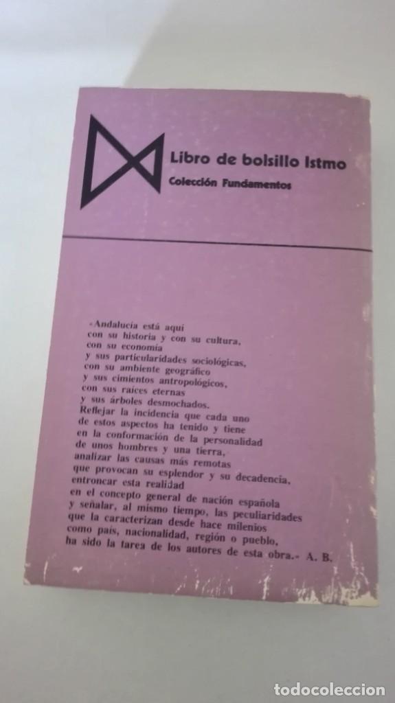 Libros de segunda mano: LOS ANDALUCES. VARIOS AUTORES - Foto 9