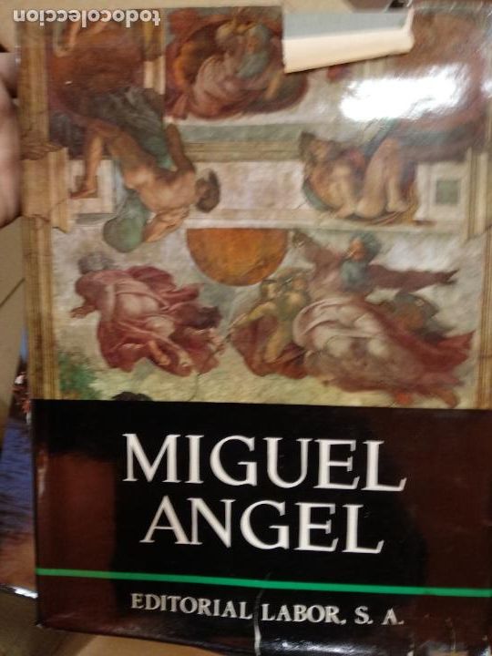 Libros de segunda mano: Miguel Angel - editorial Labor - Foto 1