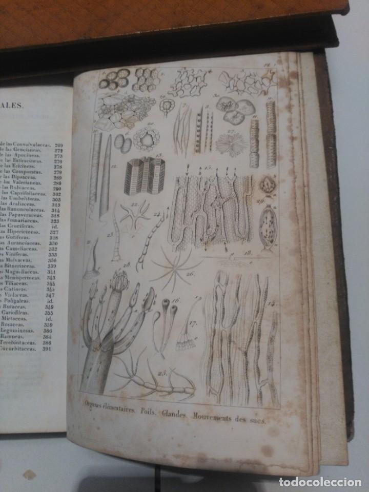 Libros de segunda mano: Elementos de Historia Natural - Foto 3
