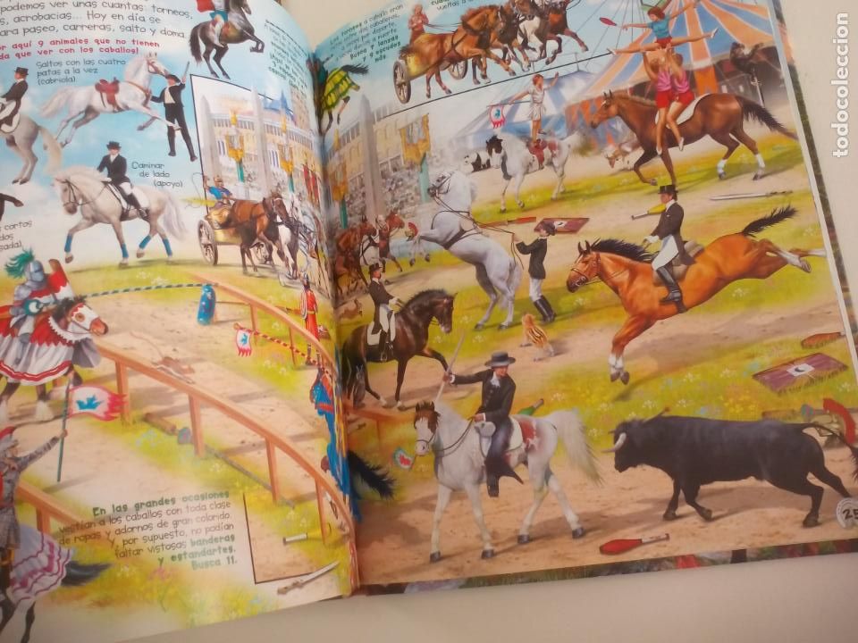 Libros de segunda mano: BUSCA LOS CABALLOS Y PONIS. SUSAETA. - Foto 2