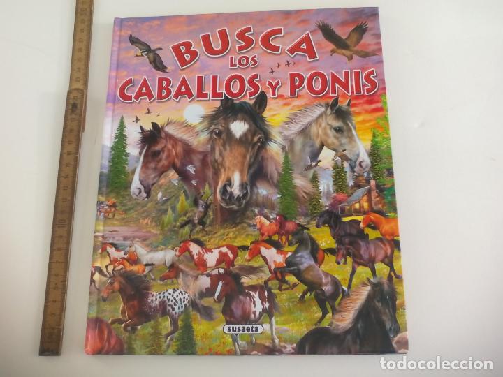 Libros de segunda mano: BUSCA LOS CABALLOS Y PONIS. SUSAETA. - Foto 1