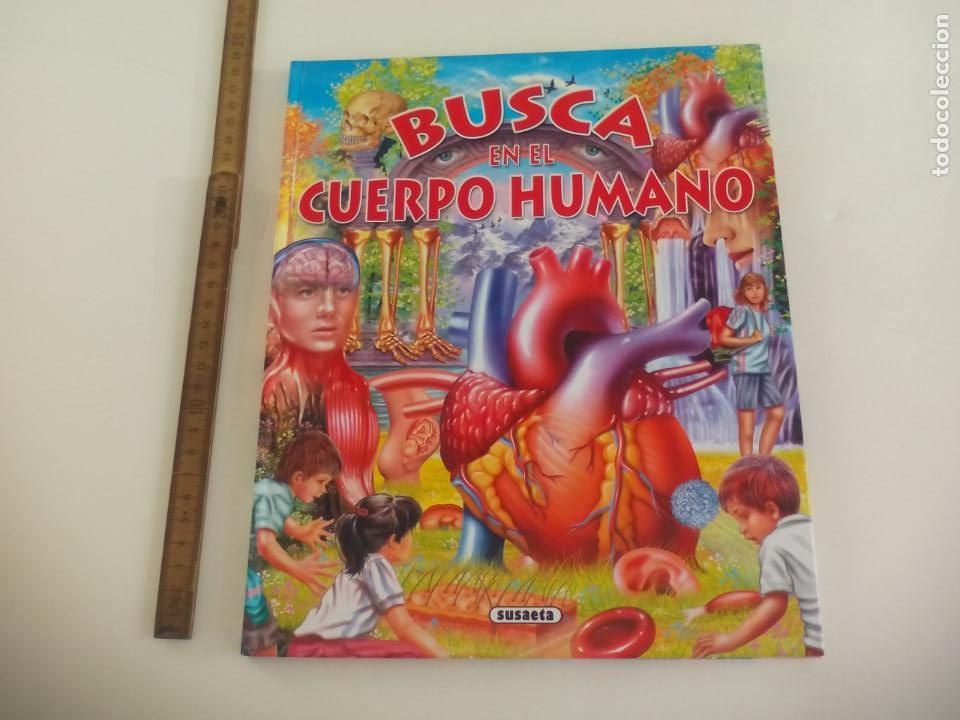 Libros de segunda mano: BUSCA EN EL CUERPO HUMANO. SUSAETA. - Foto 1