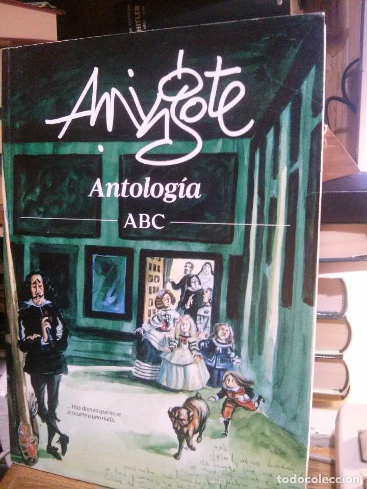 Libros de segunda mano: ANTOLOGIA ABD, AMIGOTE - Foto 1
