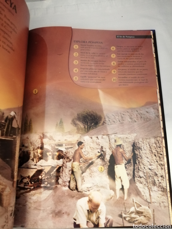 Libros de segunda mano: Roma Antigua (Al descubierto) PRIMERA EDICI&Oacute;N - Foto 4