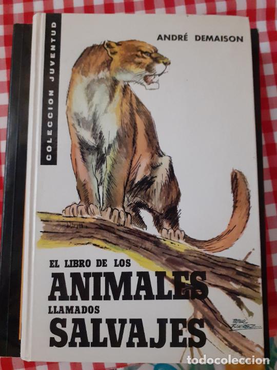 Libros de segunda mano: El libro de los animales llamados salvajes // DEMAISON, Andr&eacute; - Foto 1