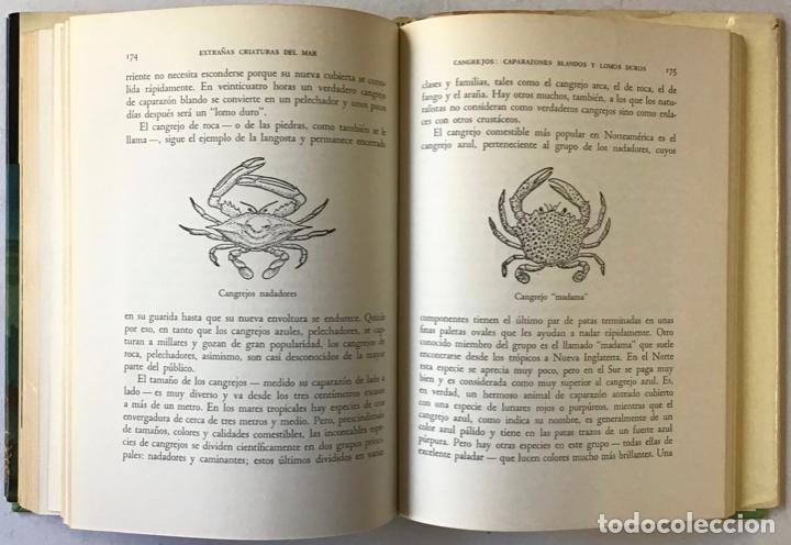 Libros de segunda mano: EXTRA&Ntilde;AS CRIATURAS DEL MAR. - HYATT VERRILL, A. - Foto 5