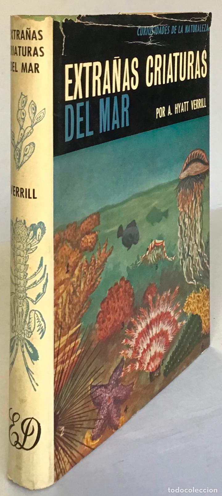 Libros de segunda mano: EXTRA&Ntilde;AS CRIATURAS DEL MAR. - HYATT VERRILL, A. - Foto 1