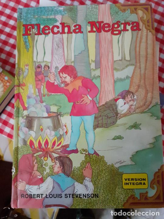 Libros de segunda mano: LIBRO FLECHA NEGRA ED. VERSI&Oacute;N INTEGRA DE REOBERT LOUIS STEVENSON - Foto 1