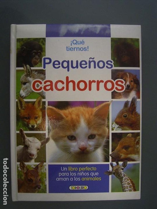 Libros de segunda mano: PEQUE&Ntilde;OS CACHORROS &iexcl; Qu&eacute; tiernos ! - Thierry Montagne - Foto 1