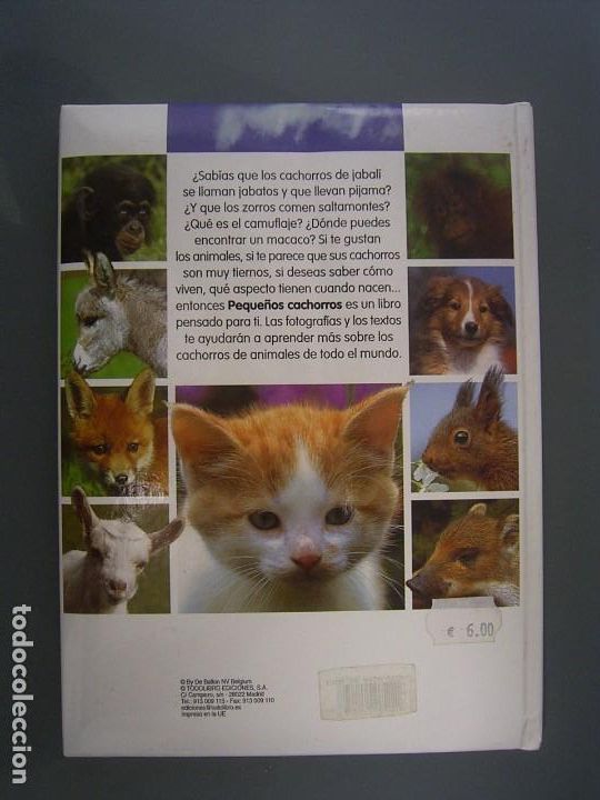 Libros de segunda mano: PEQUE&Ntilde;OS CACHORROS &iexcl; Qu&eacute; tiernos ! - Thierry Montagne - Foto 2