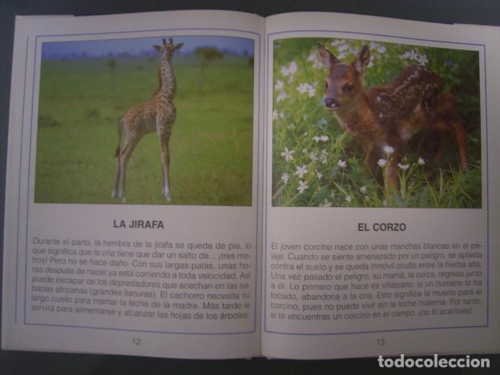 Libros de segunda mano: PEQUE&Ntilde;OS CACHORROS &iexcl; Qu&eacute; tiernos ! - Thierry Montagne - Foto 5