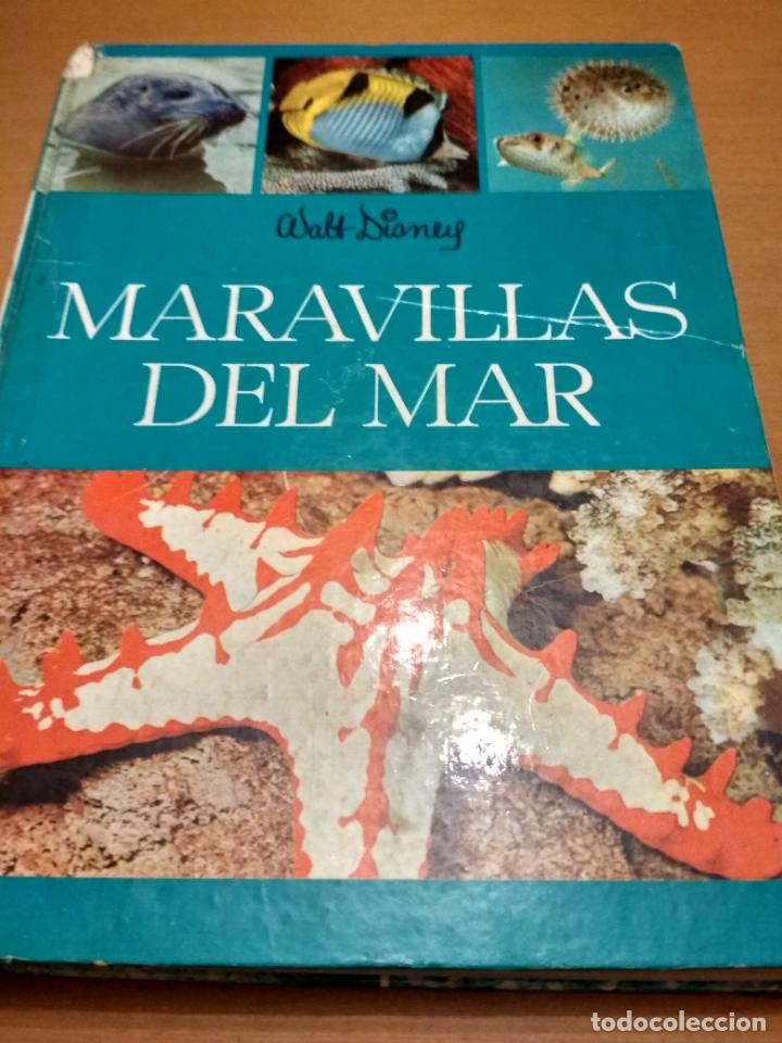 Libros de segunda mano: Maravillas del mar - Foto 1