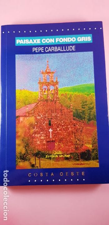 Libros de segunda mano: LIBRO-PAISAJE CON FONDO GRIS-PEPE CARBALLUDE-COSTA OESTE-2001-BUEN ESTADO-GALLEGO.