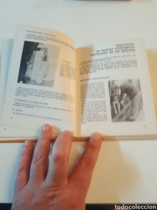 Libros de segunda mano: Su perro eleccion crianza y cuidados Espasa calpe 1973 - Foto 3