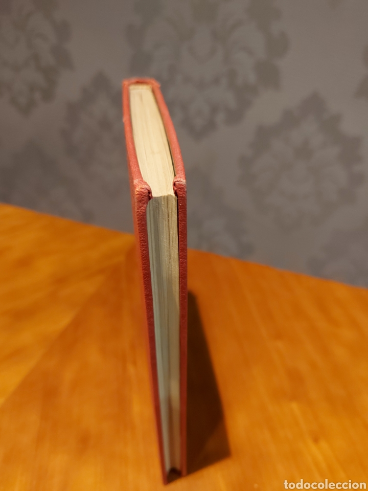 Libros de segunda mano: Ilustrado Son mis Amores 1944 Albert Torrellas Ediciones Memphis - Foto 4